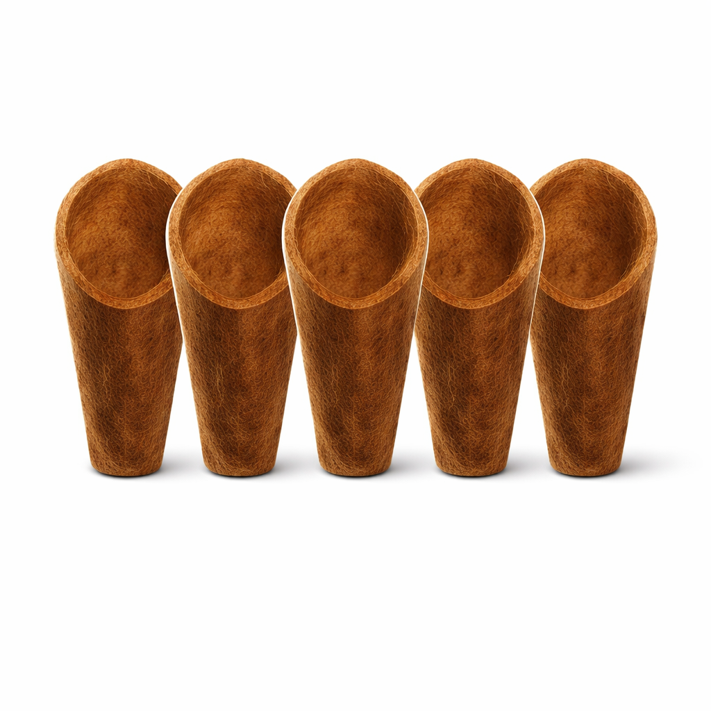 Kit Concha PP – 5 unidades